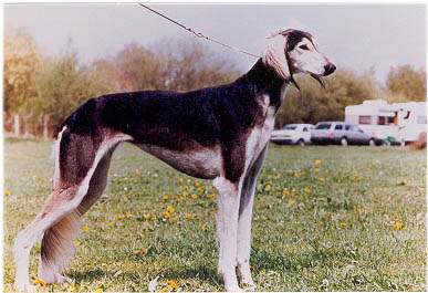 THAMIIMAH TAL AMAL
 mother